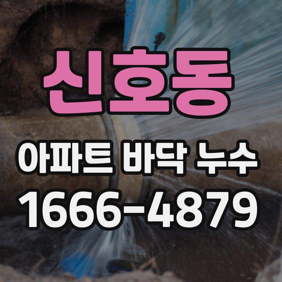 신호동 아파트 바닥 누수
