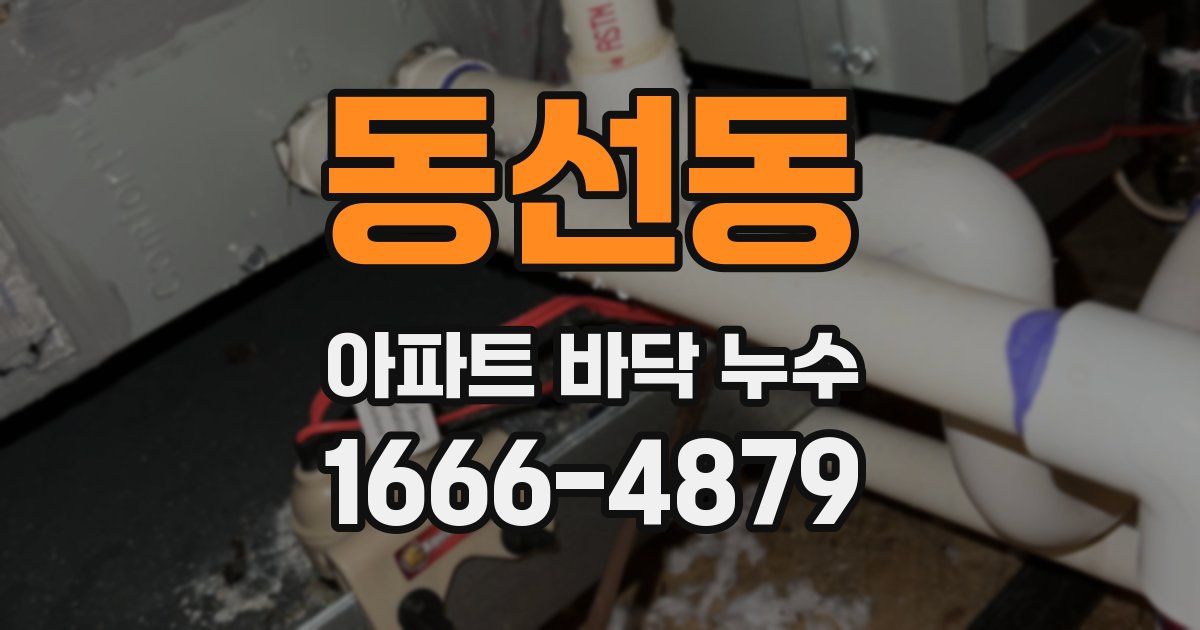 동선동 아파트 바닥 누수