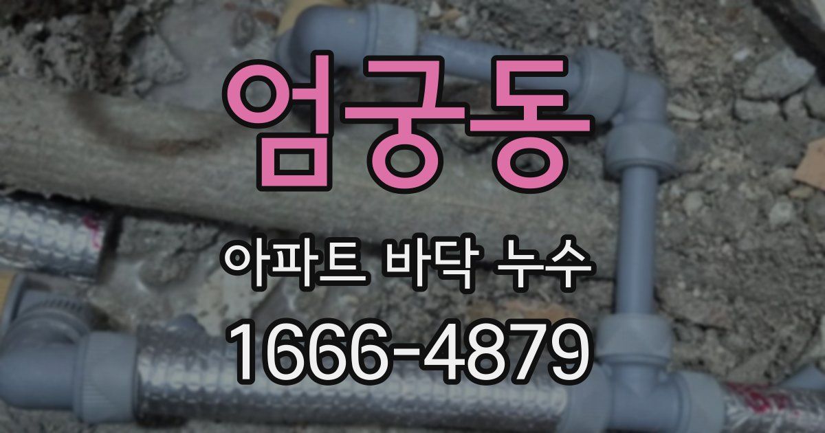 엄궁동 아파트 바닥 누수