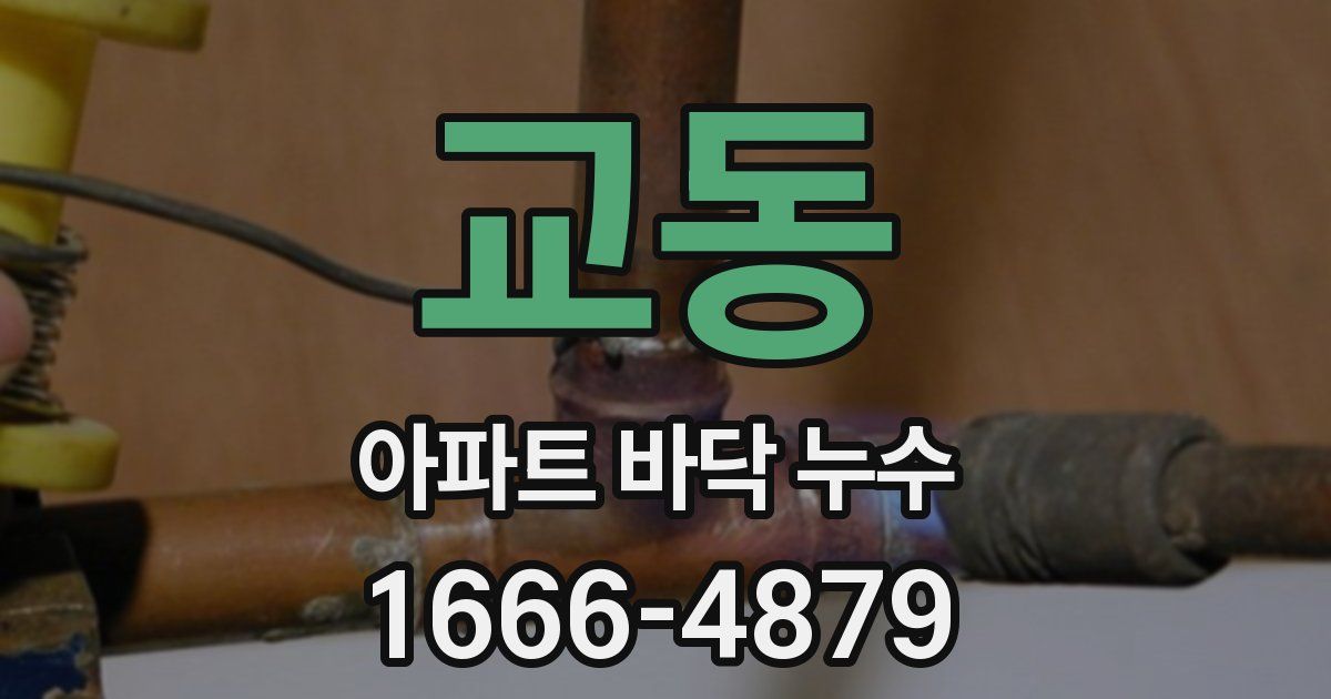 교동 아파트 바닥 누수