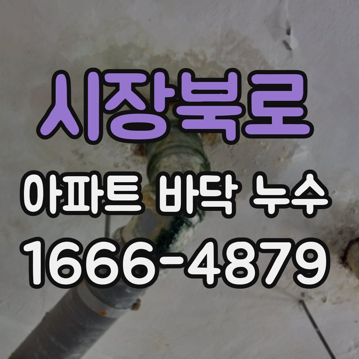 시장북로 아파트 바닥 누수