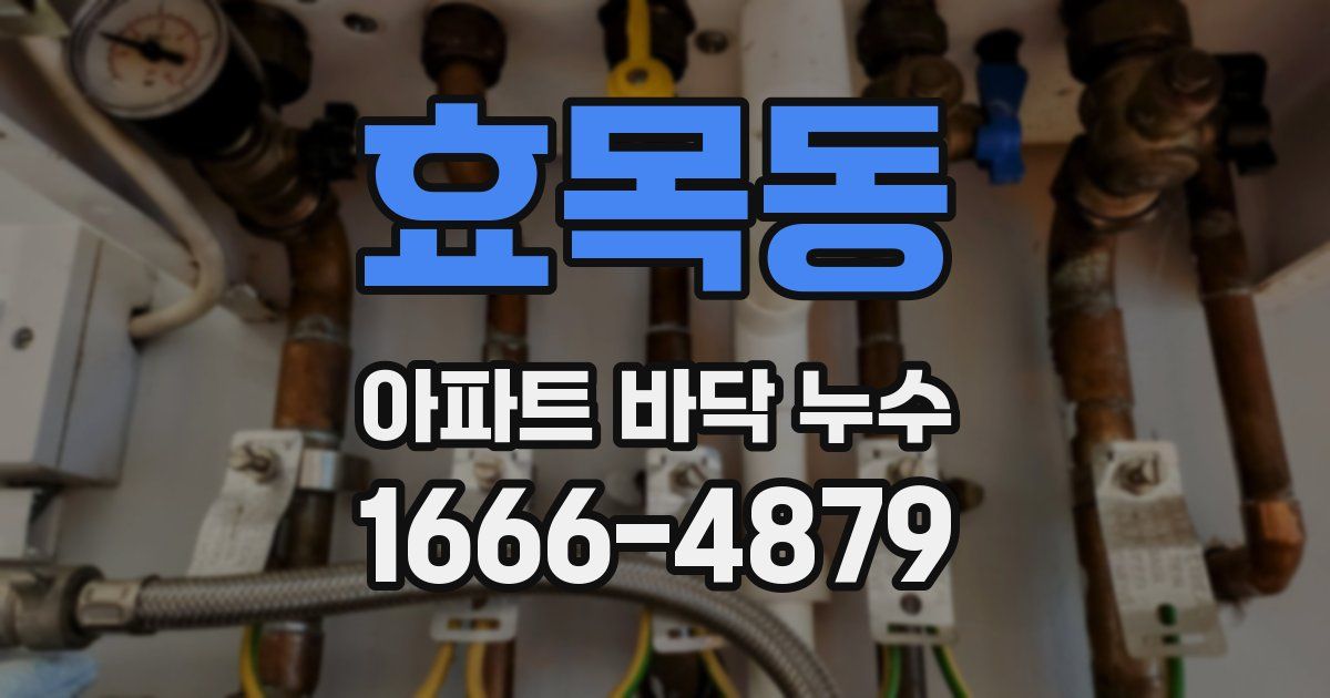 효목동 아파트 바닥 누수