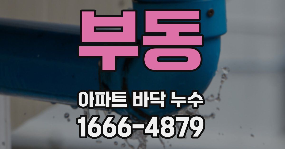 부동 아파트 바닥 누수