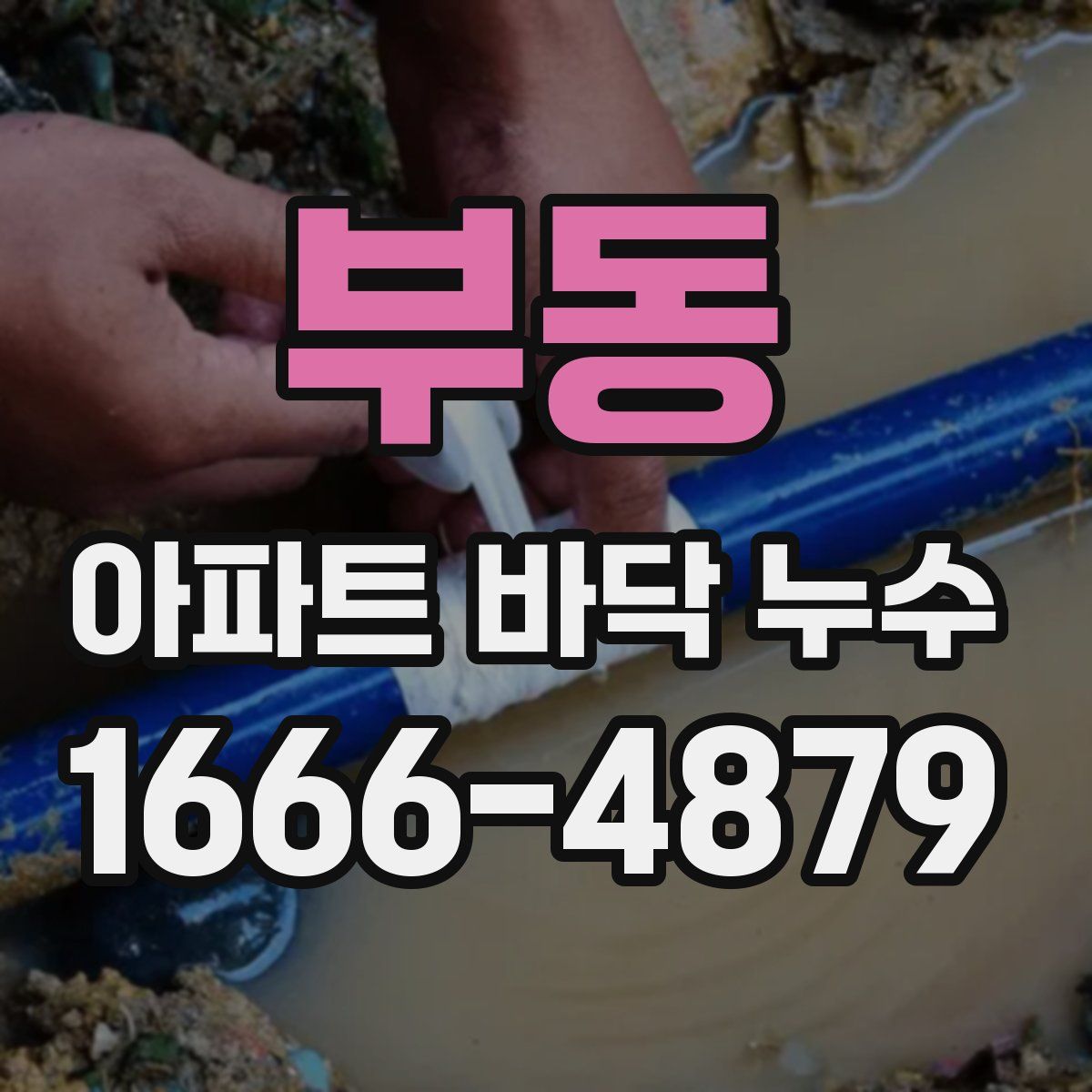 부동 아파트 바닥 누수