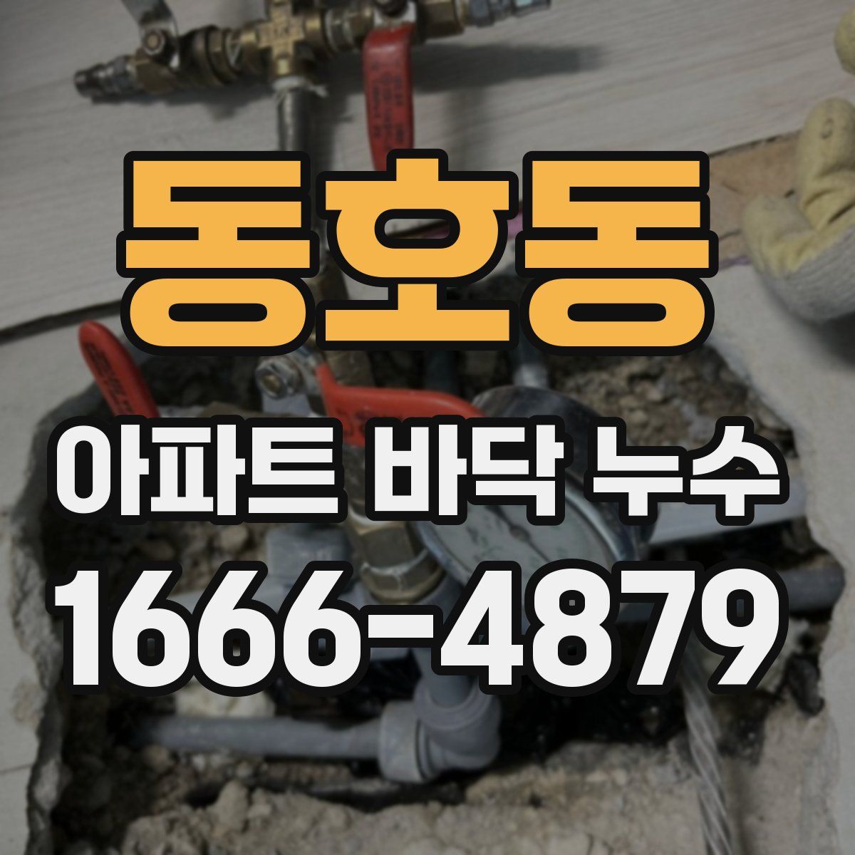 동호동 아파트 바닥 누수