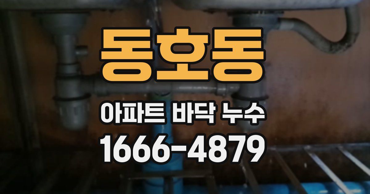 동호동 아파트 바닥 누수