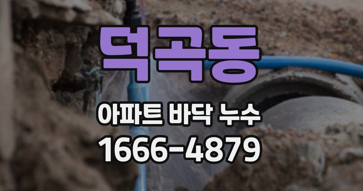 덕곡동 아파트 바닥 누수