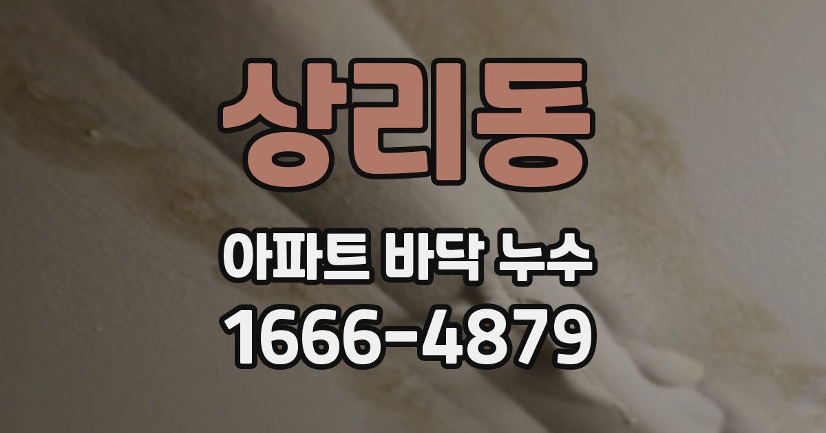 상리동 아파트 바닥 누수
