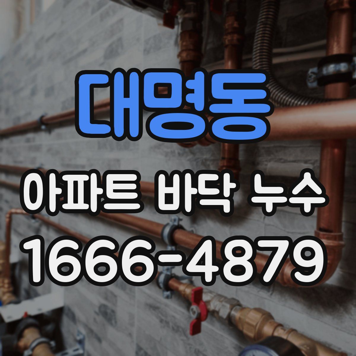 대명동 아파트 바닥 누수