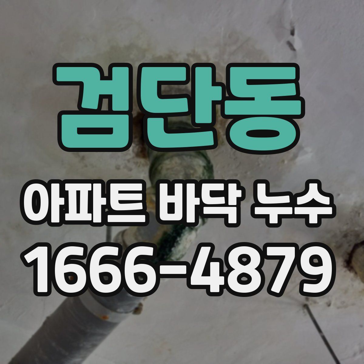 검단동 아파트 바닥 누수