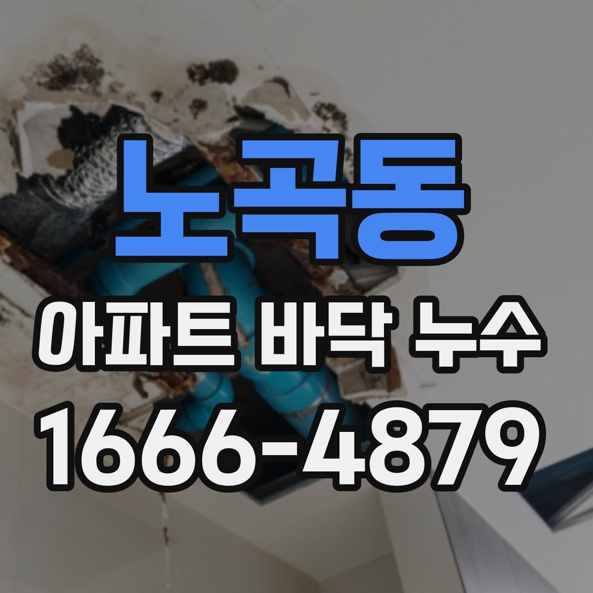 노곡동 아파트 바닥 누수