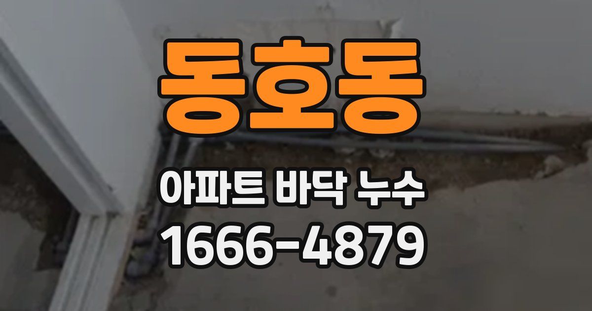동호동 아파트 바닥 누수