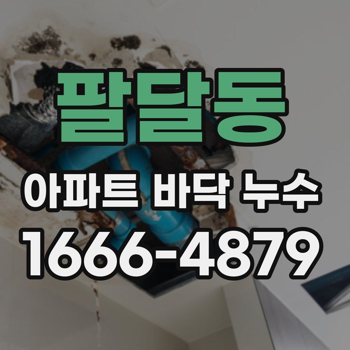팔달동 아파트 바닥 누수