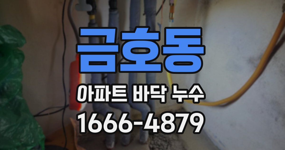 금호동 아파트 바닥 누수