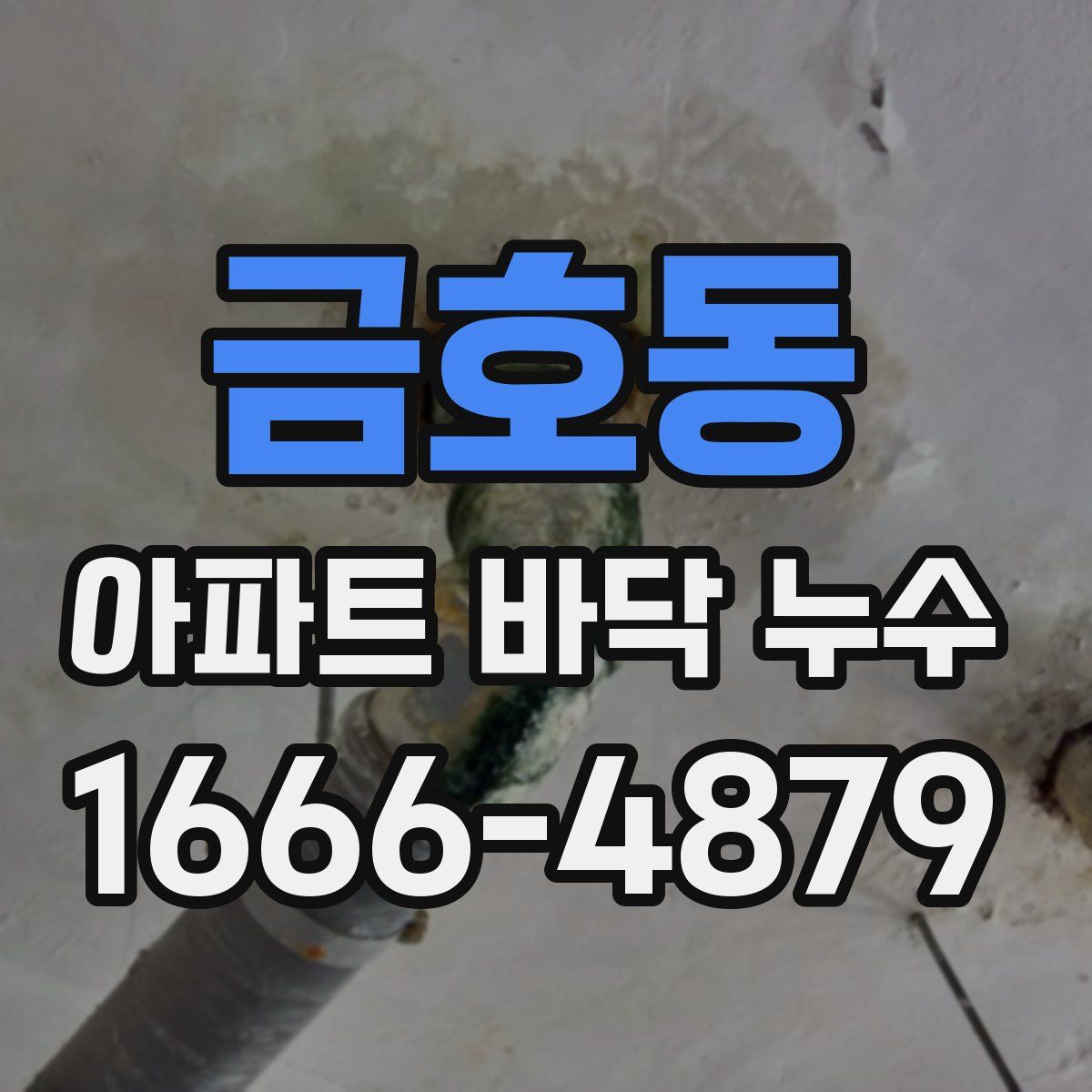 금호동 아파트 바닥 누수