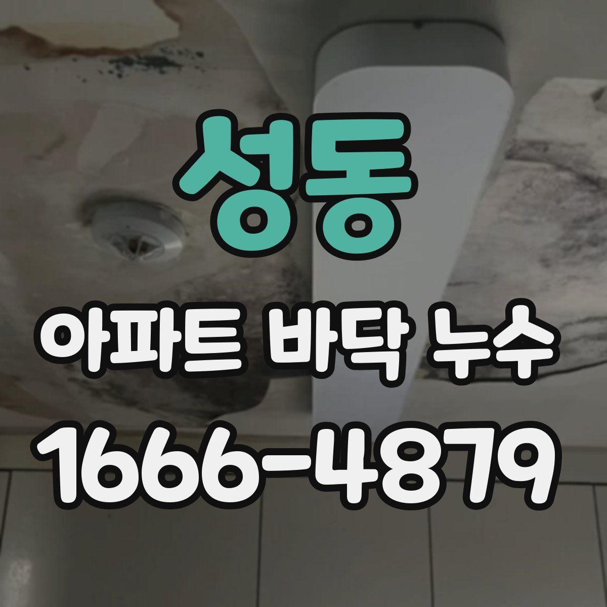 성동 아파트 바닥 누수
