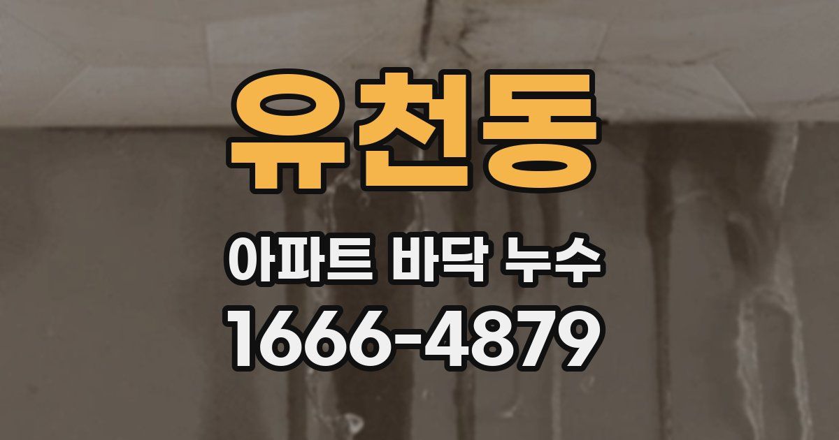 유천동 아파트 바닥 누수