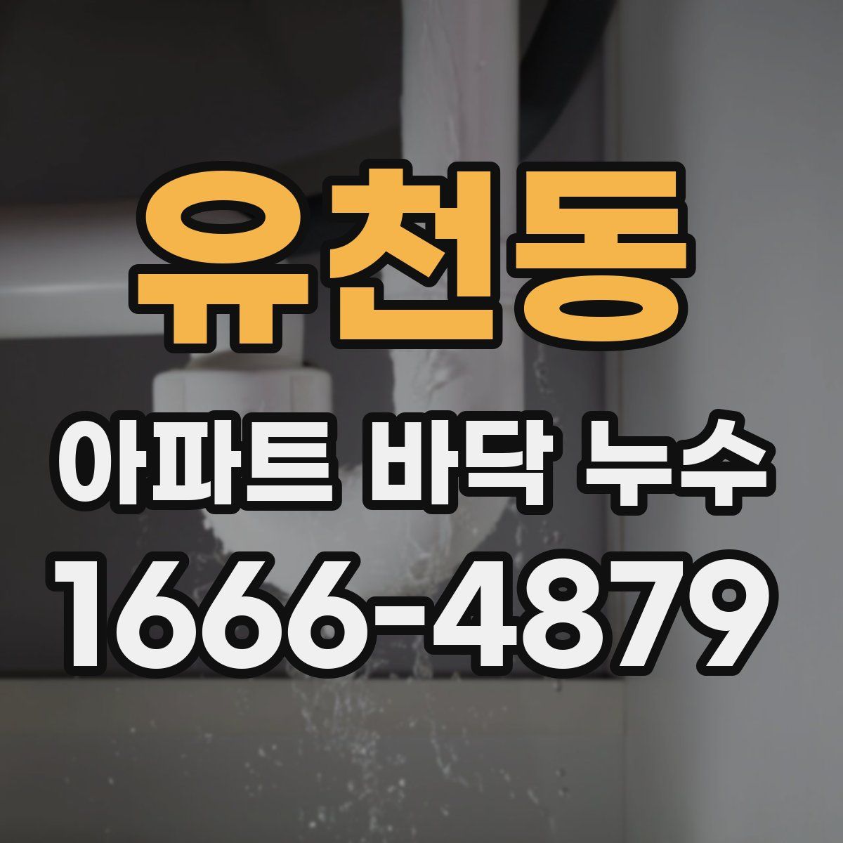 유천동 아파트 바닥 누수