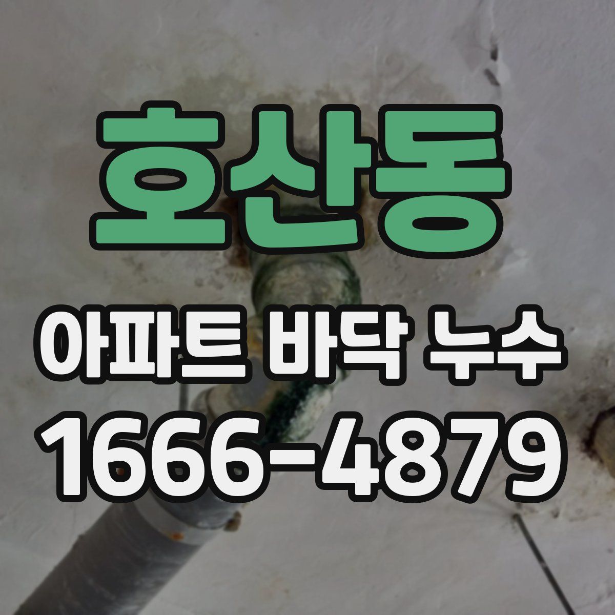 호산동 아파트 바닥 누수