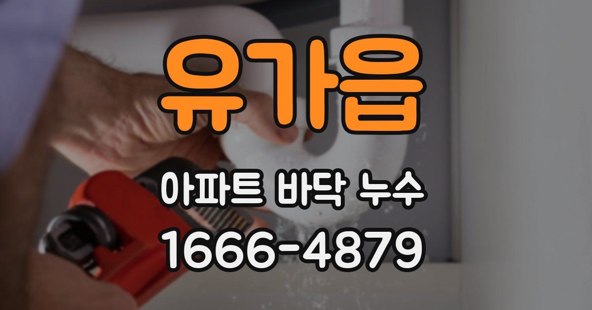 유가읍 아파트 바닥 누수