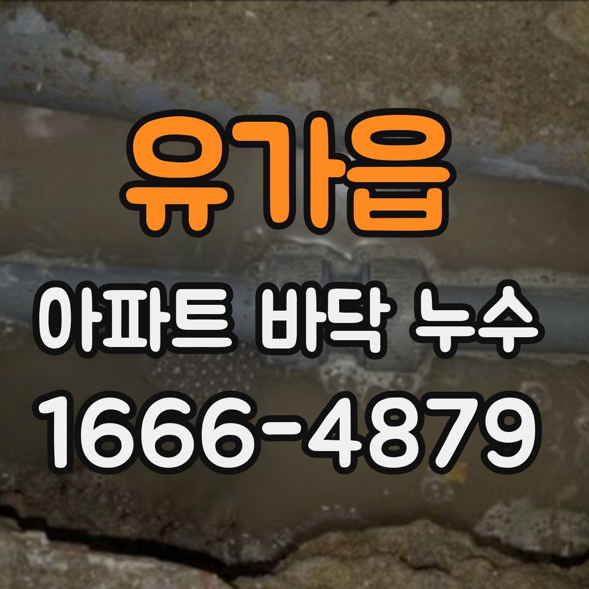 유가읍 아파트 바닥 누수