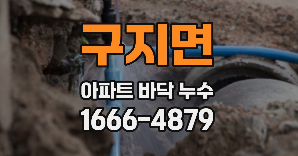 구지면 아파트 바닥 누수