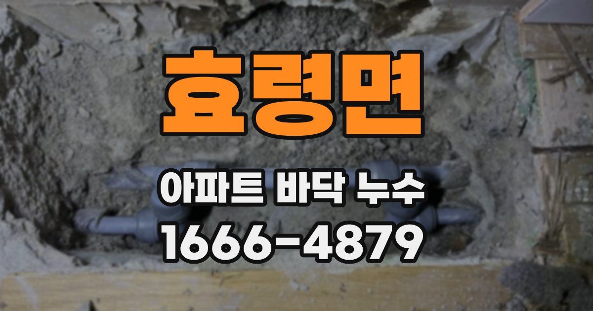 효령면 아파트 바닥 누수