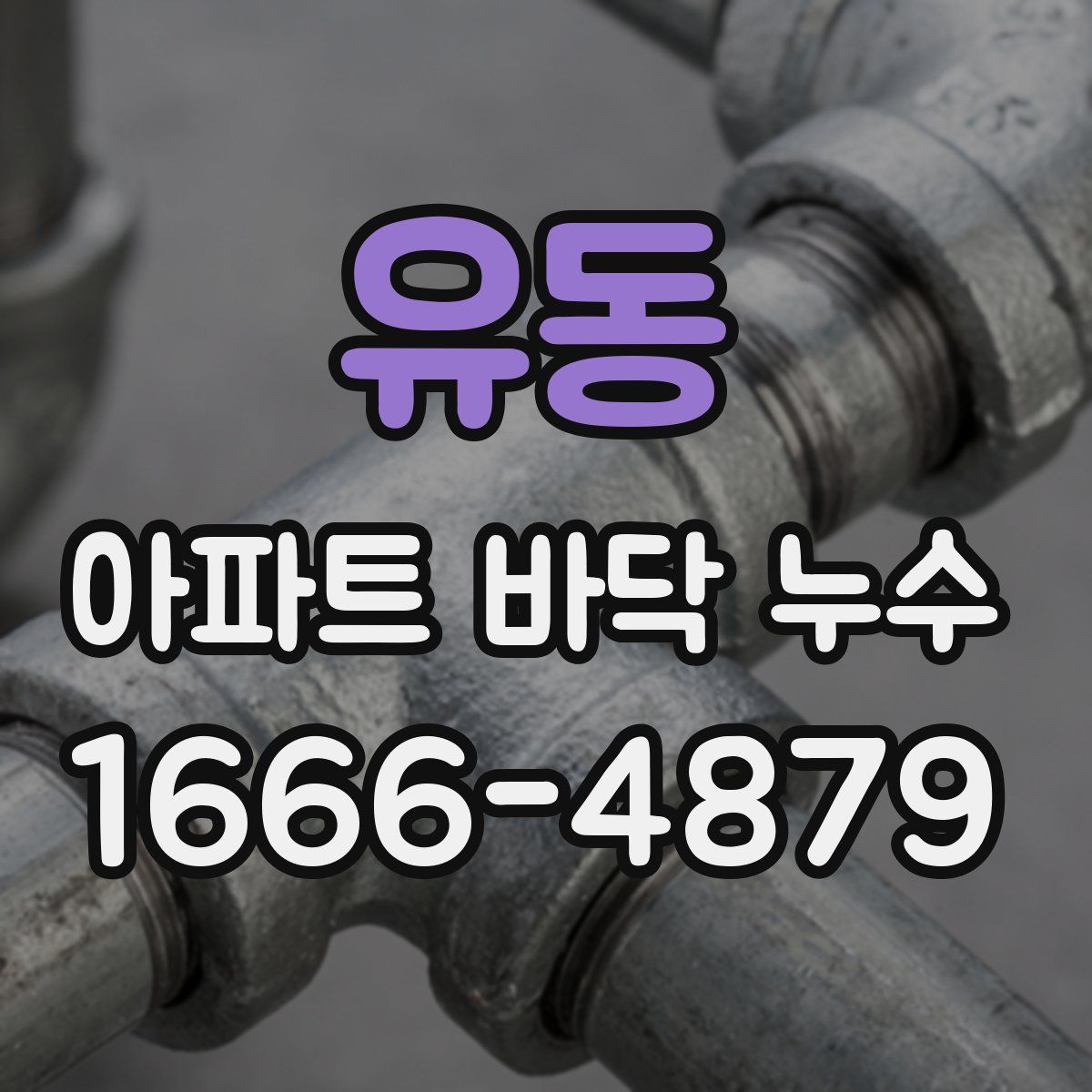 유동 아파트 바닥 누수