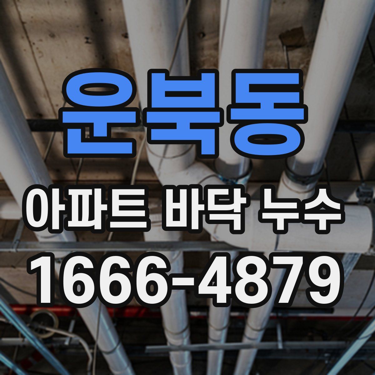 운북동 아파트 바닥 누수