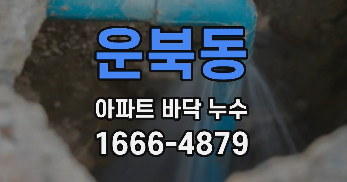 운북동 아파트 바닥 누수