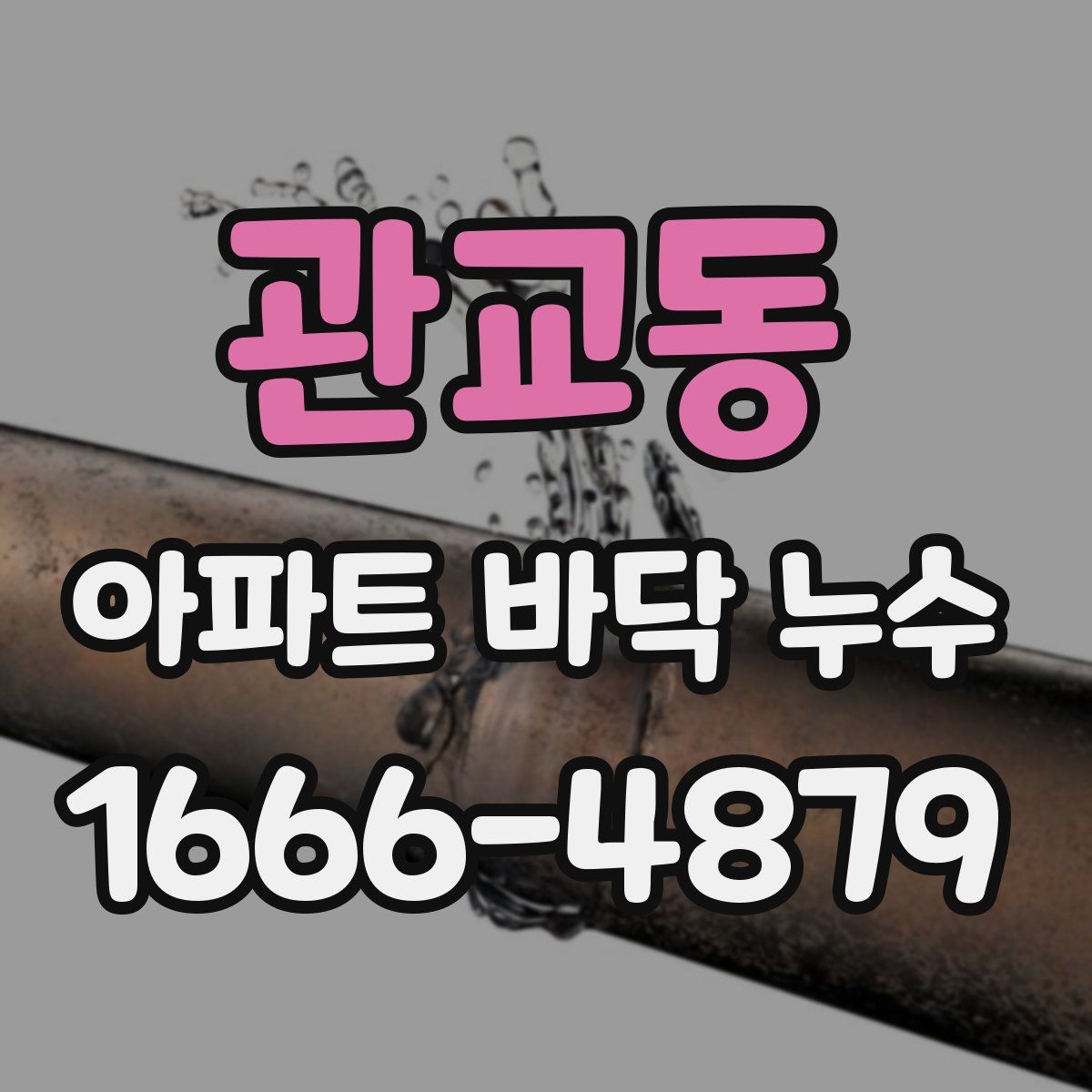 관교동 아파트 바닥 누수