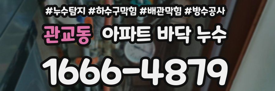 관교동 아파트 바닥 누수