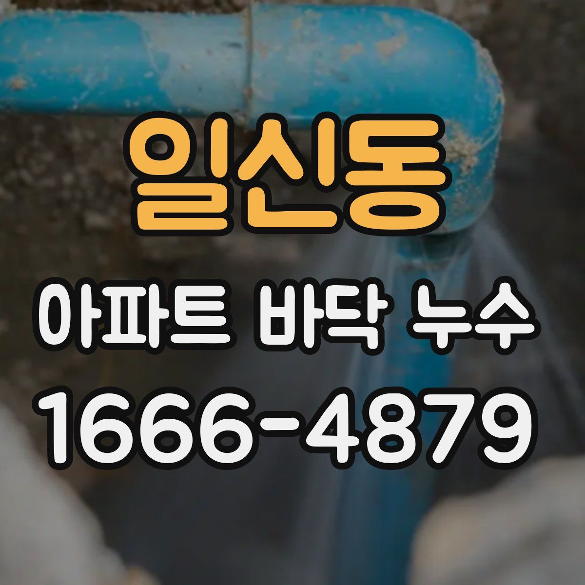 일신동 아파트 바닥 누수
