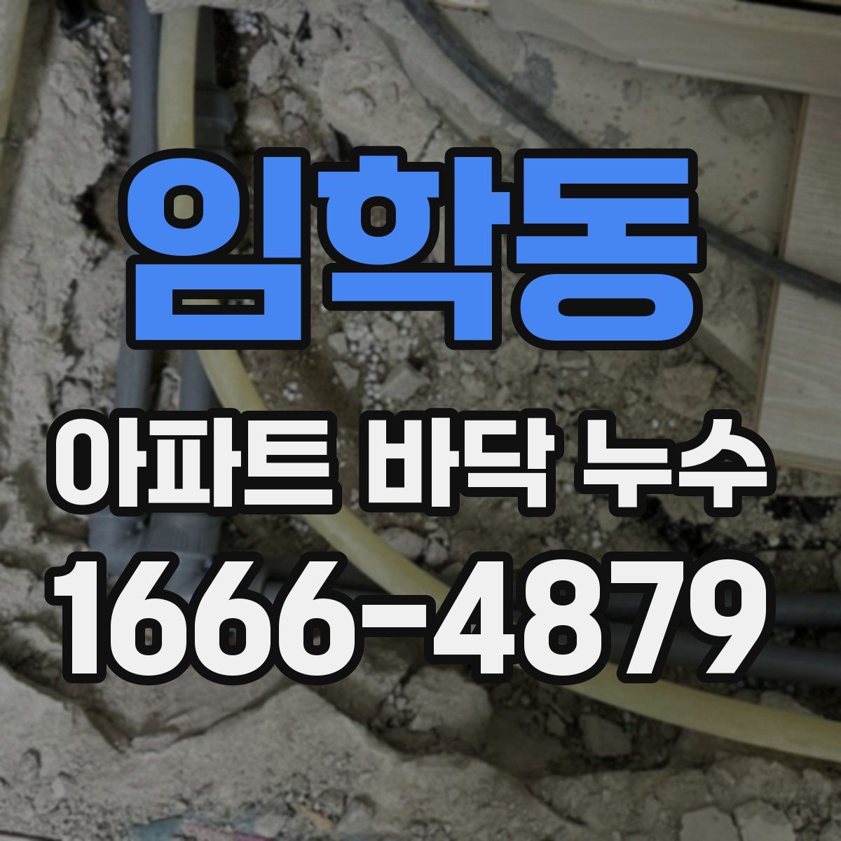 임학동 아파트 바닥 누수