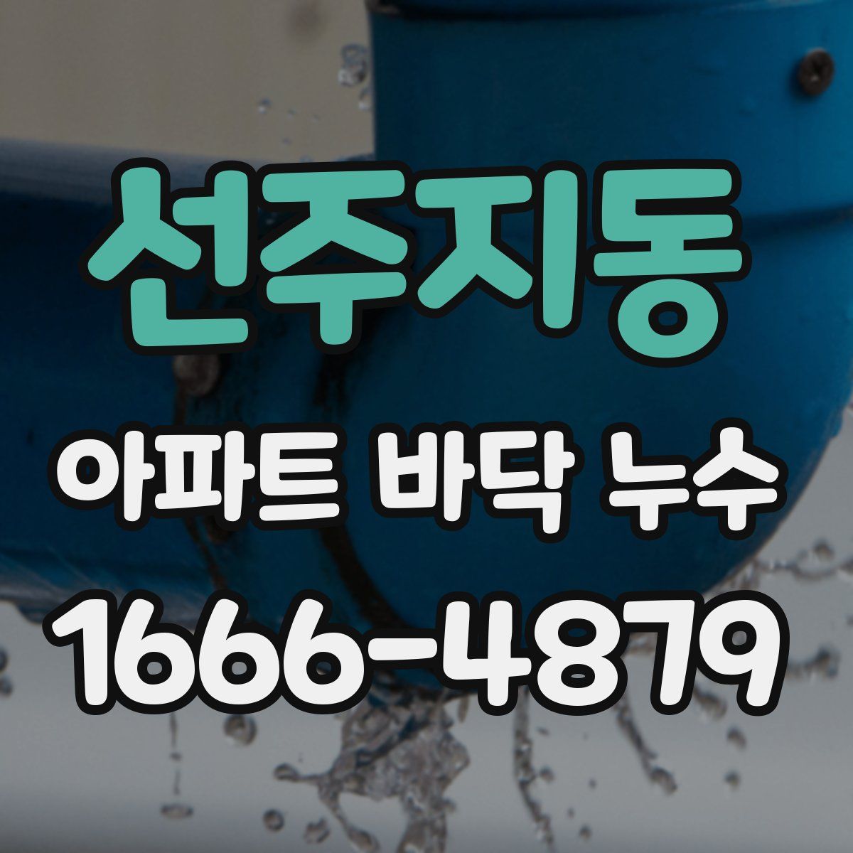 선주지동 아파트 바닥 누수