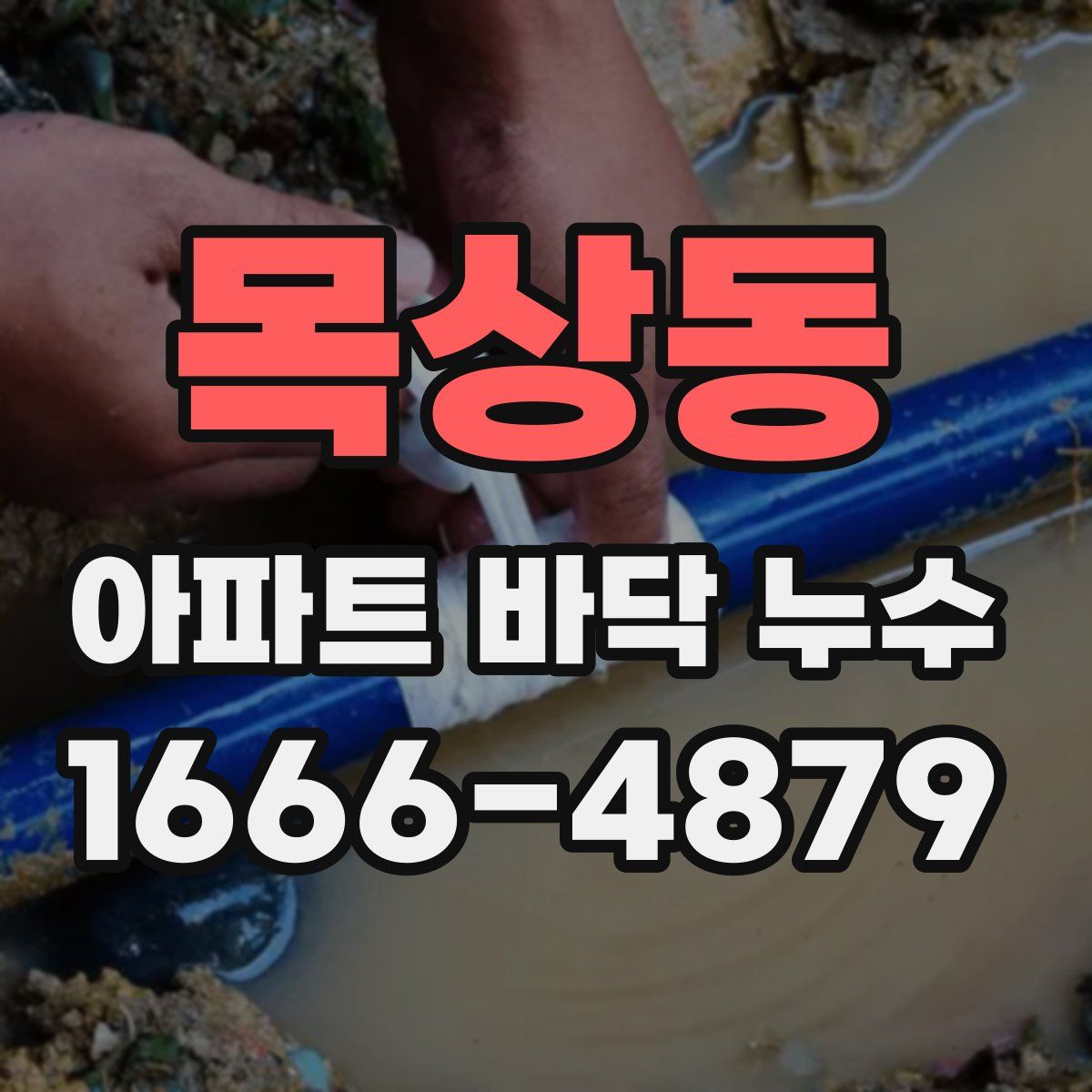 목상동 아파트 바닥 누수
