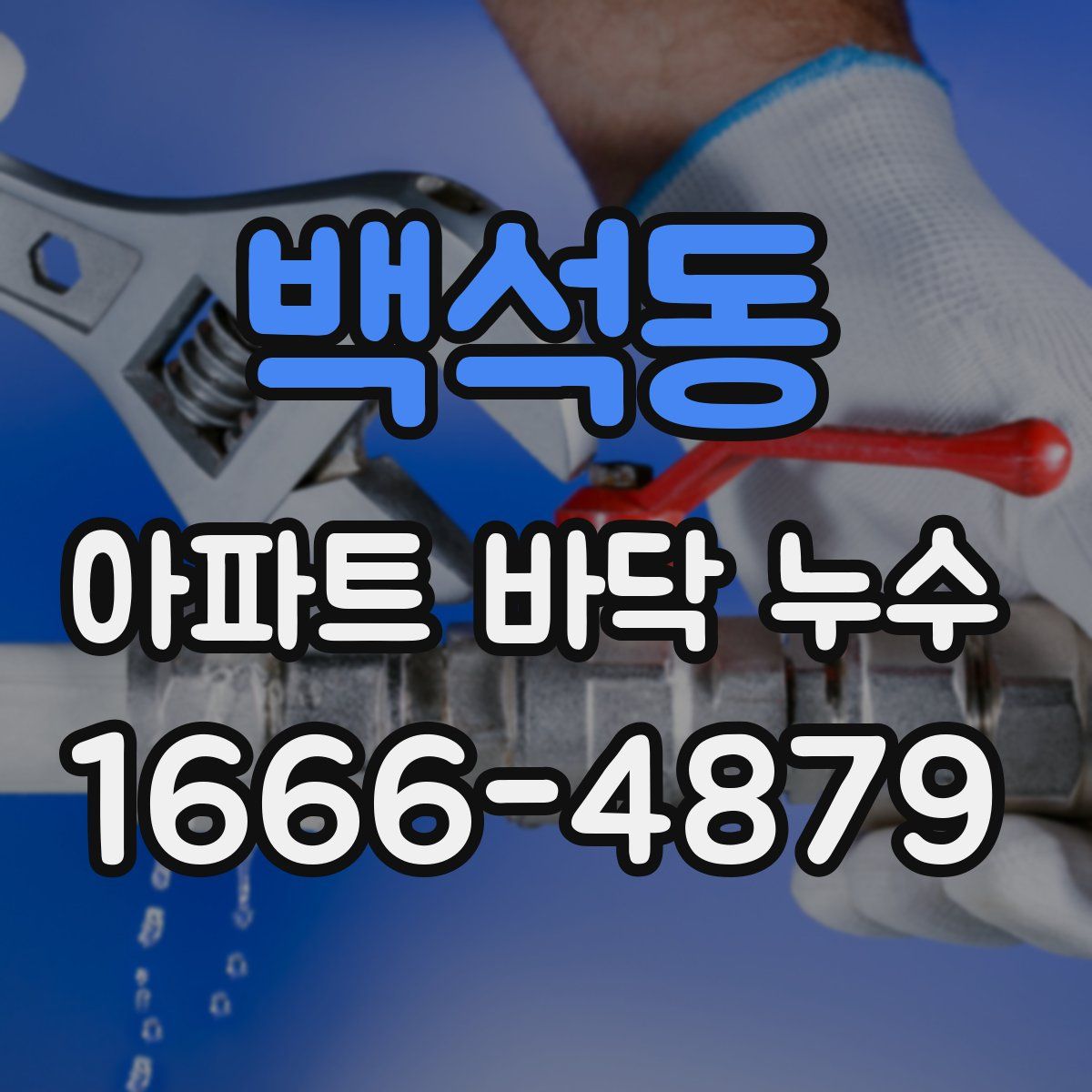 백석동 아파트 바닥 누수