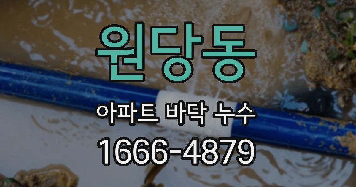 원당동 아파트 바닥 누수