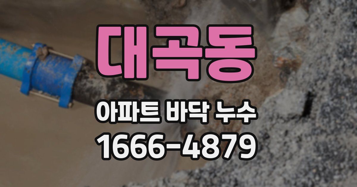 대곡동 아파트 바닥 누수