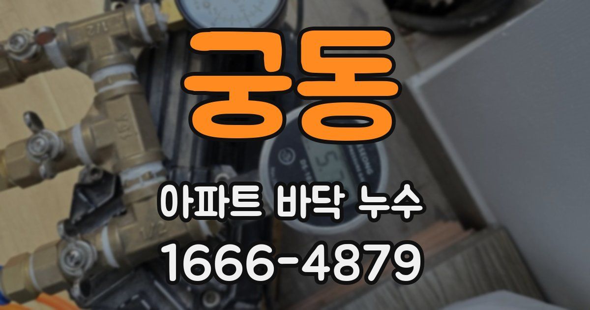 궁동 아파트 바닥 누수