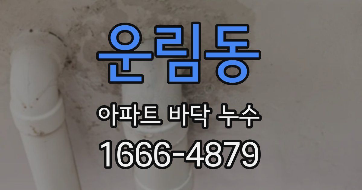 운림동 아파트 바닥 누수