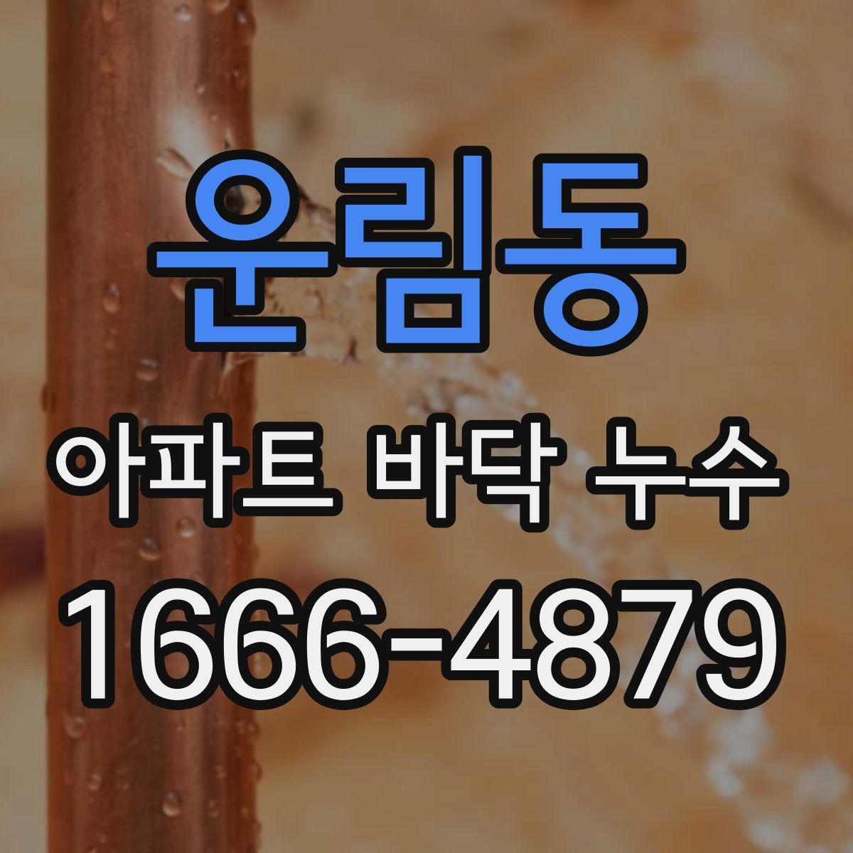 운림동 아파트 바닥 누수