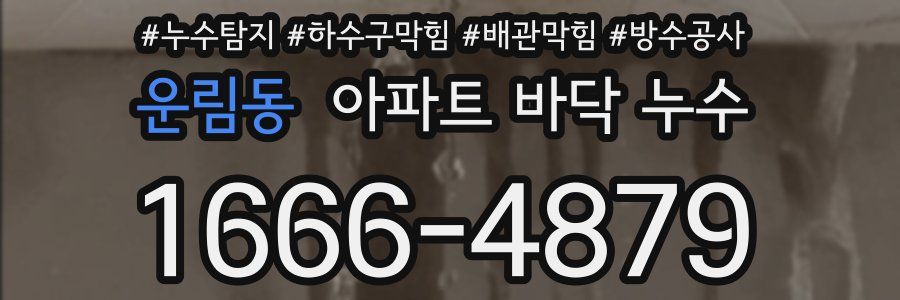 운림동 아파트 바닥 누수