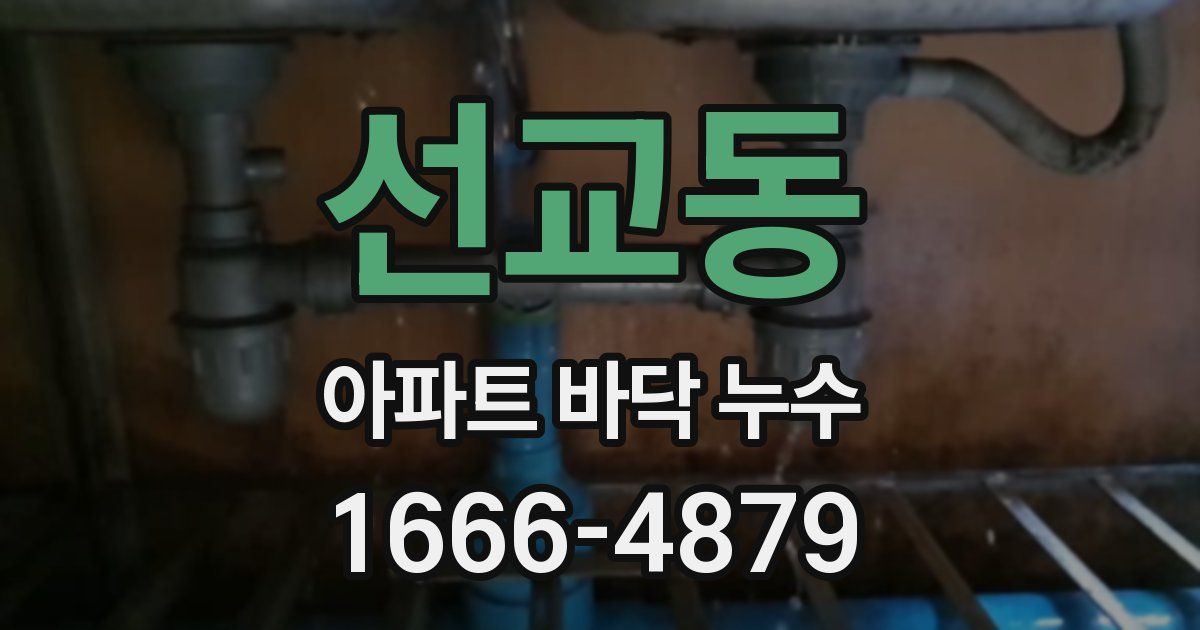 선교동 아파트 바닥 누수