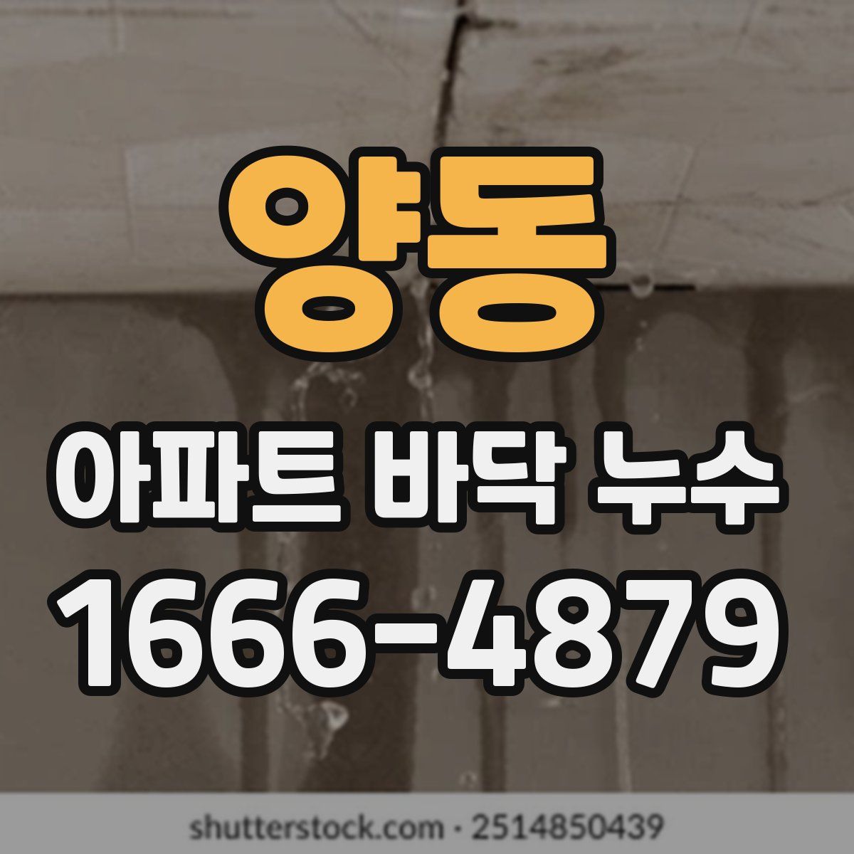 양동 아파트 바닥 누수
