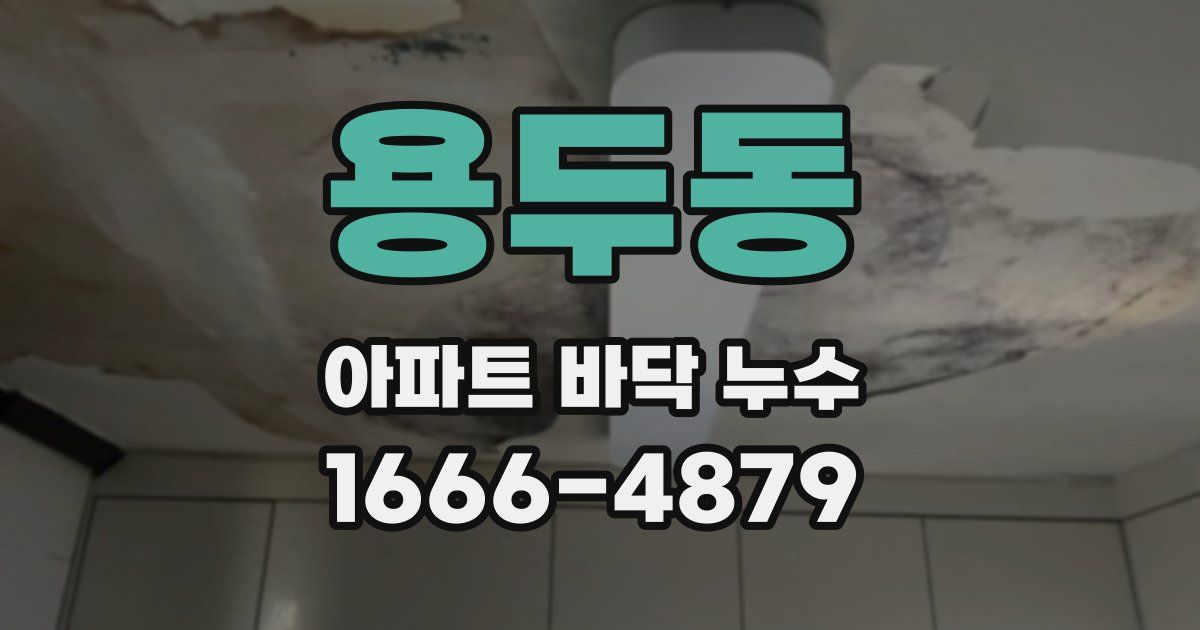 용두동 아파트 바닥 누수