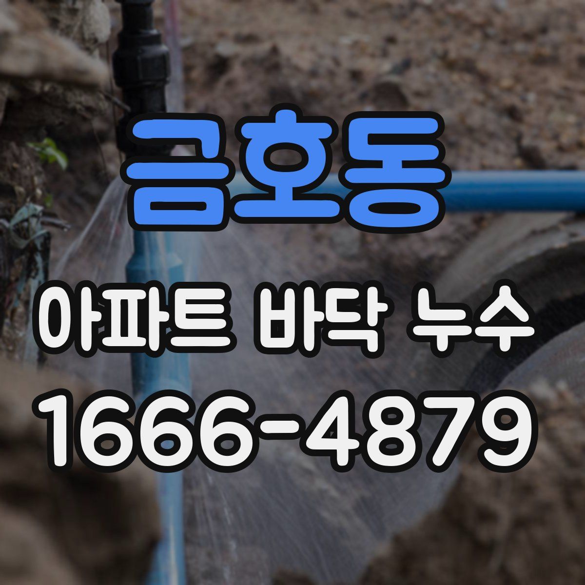 금호동 아파트 바닥 누수