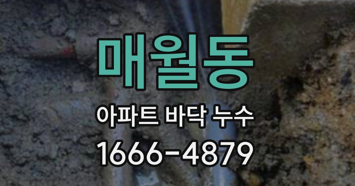 매월동 아파트 바닥 누수