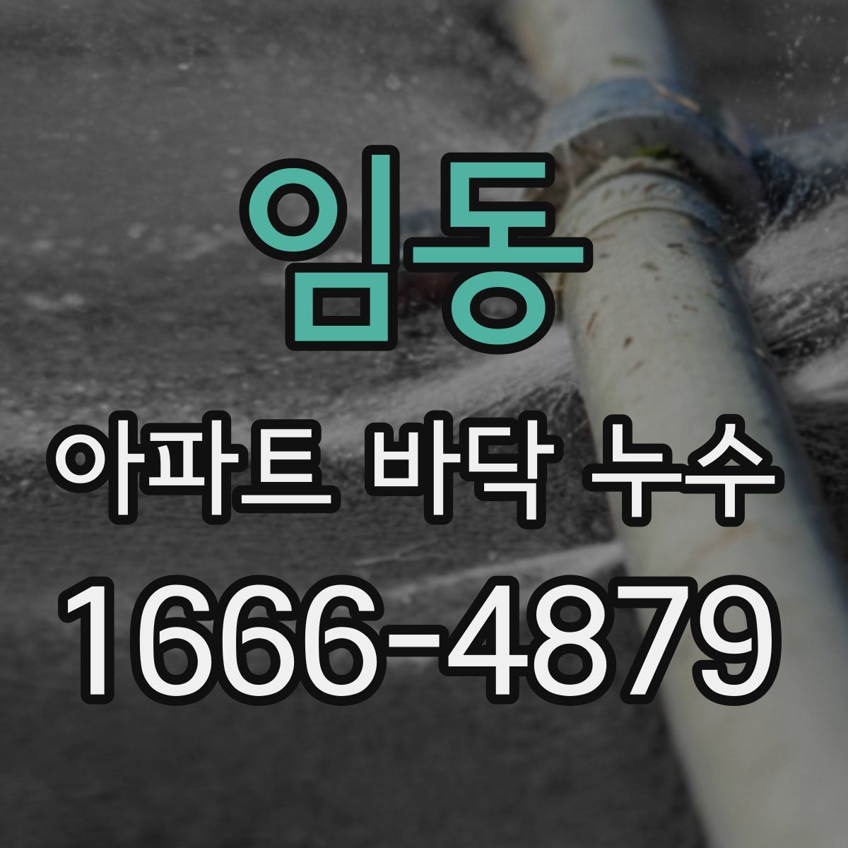 임동 아파트 바닥 누수