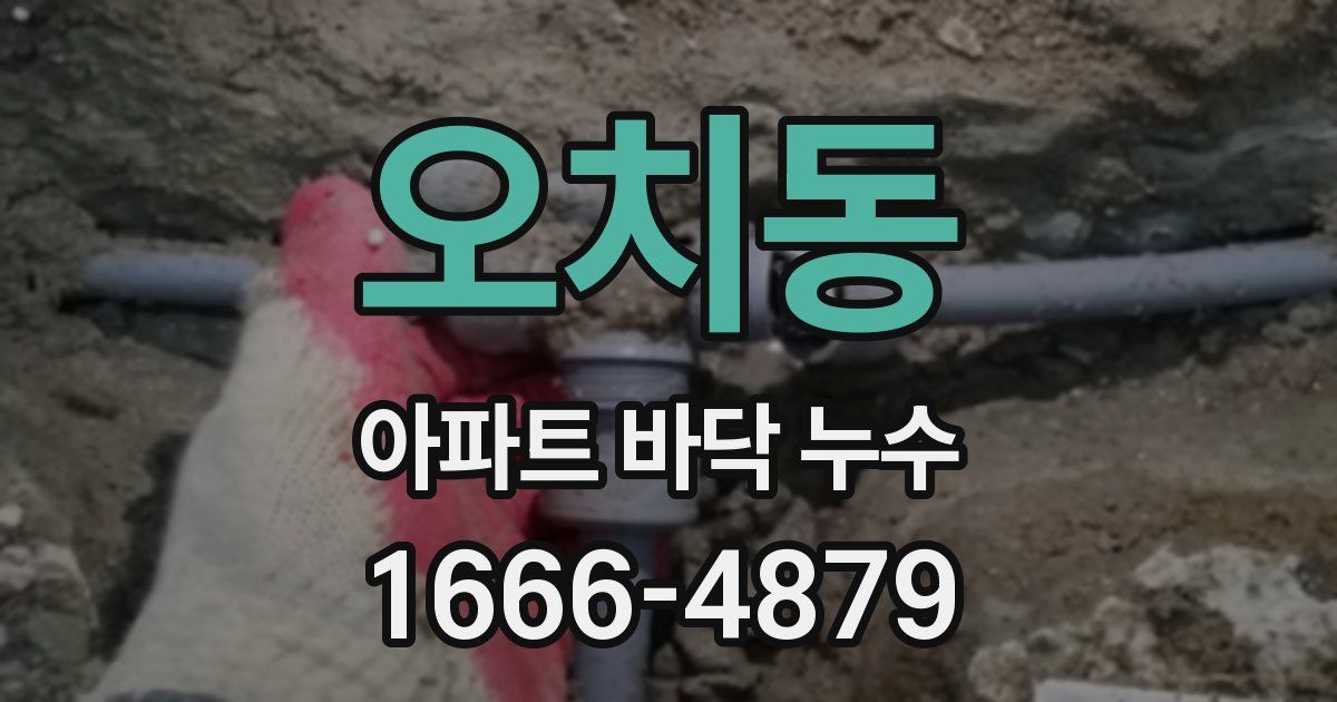 오치동 아파트 바닥 누수